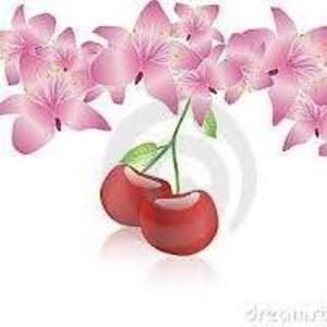 Meet your Posher, Dao